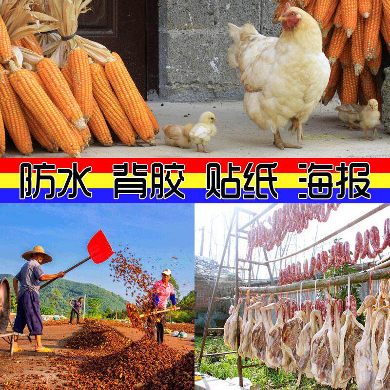 餐馆装饰画贴图片海报壁纸防水背胶原生态农家乐风景特色农村贴画