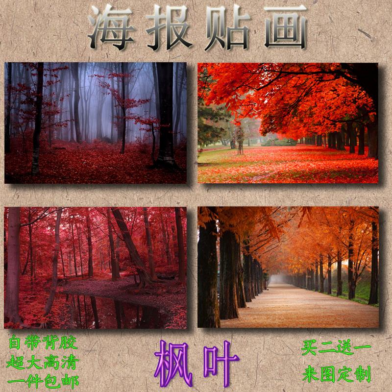 枫叶1植物花卉植被花草唯美橘红黄色来图定制室内防水贴画装饰画图片