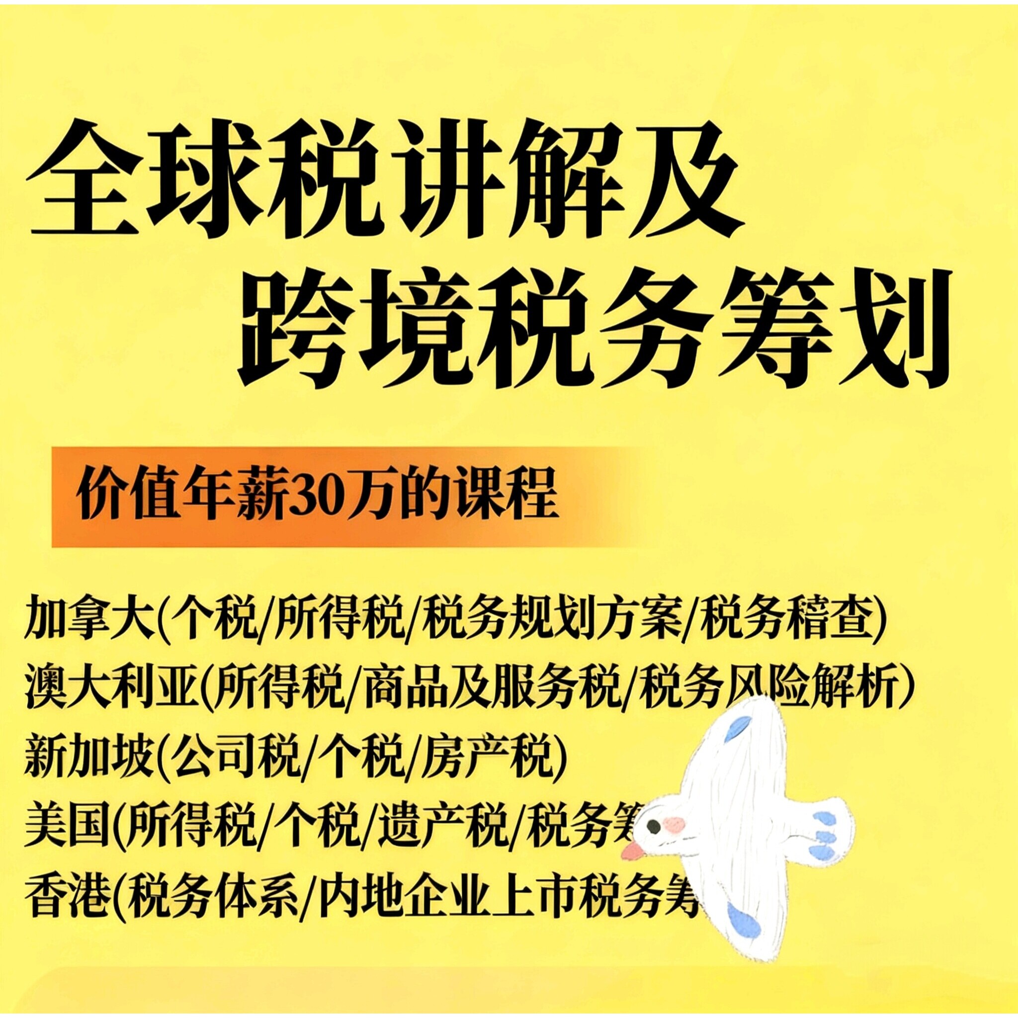 海外税制讲解跨境税务筹划美国新加坡香港税制全球税制讲解及跨境 - 实物图