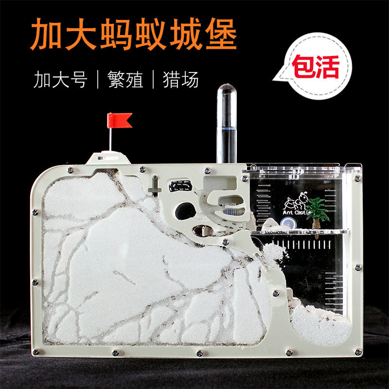 蚂蚁窝 蚂蚁工坊宠物笼子蚂蚁城堡新型养蚂蚁繁殖蚁巢亚克力沙巢