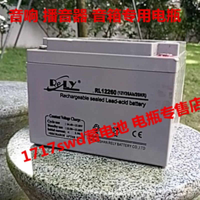 RELY蓄电池 RL12260 12V26AH/20HR 音响 多功能音箱播放器用电瓶