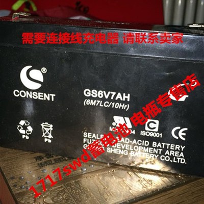 CONSENT蓄电池 GS6V7AH (6M7LC/10Hr)车位锁电池 童车 玩具车电瓶