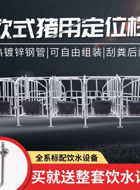 母猪落地式产床 母猪落地式分娩栏 母猪定位栏分娩栏限位猪用单体