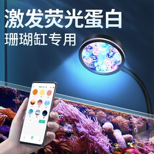 小丑鱼海水缸专用灯海葵珊瑚水草造景LED照明灯可调焦鱼缸补光灯