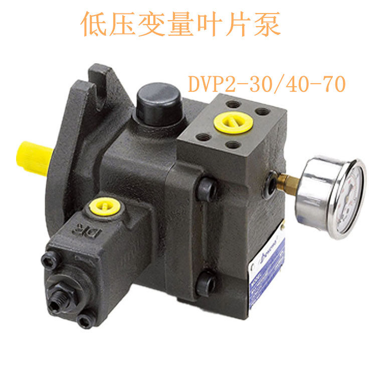 DVP1-12 DVP1-15-70 DtVP1-20-70 DVP2-30-70 DVP2-40-70叶片泵