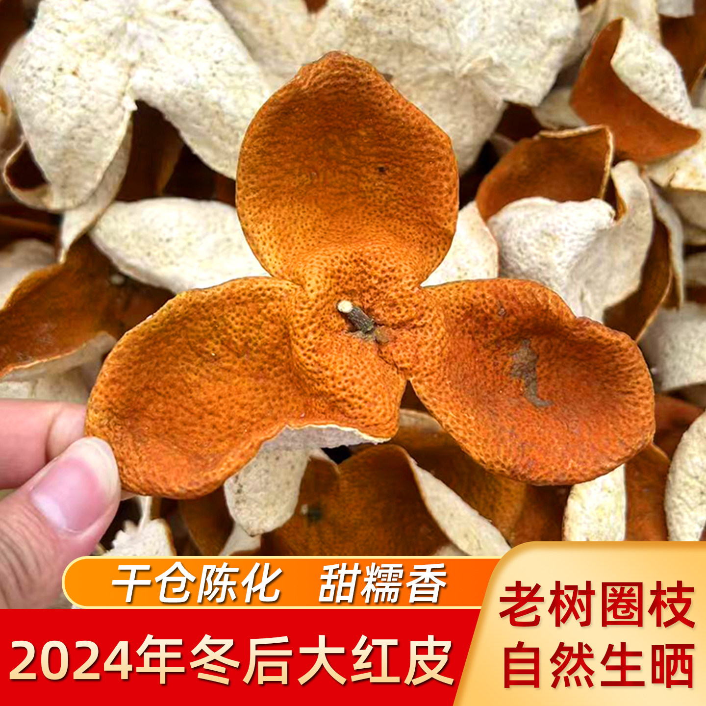 2024年新会天马冬后大红皮