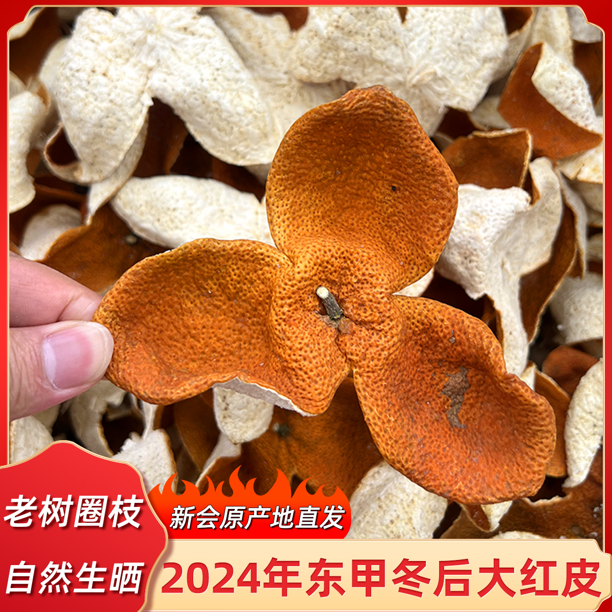 2024年新会东甲冬后大红皮