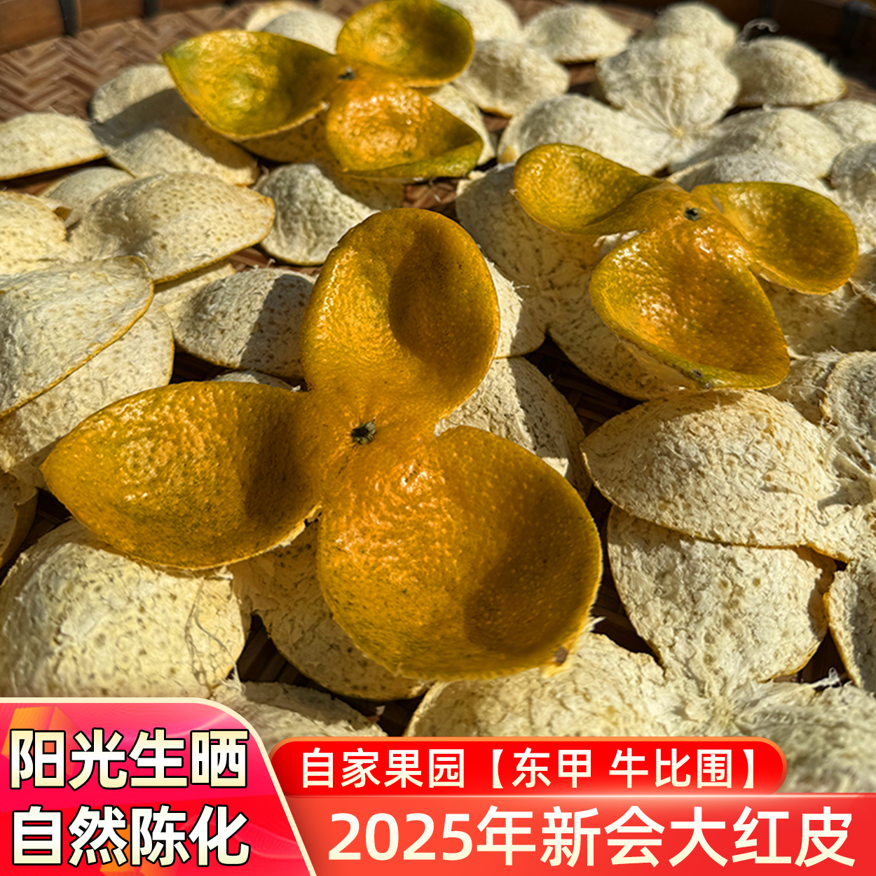 2025年新会东甲大红皮老树圈枝