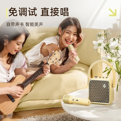 Divoom/点音 家庭k歌音箱家用便携音箱话筒一体双麦克风唱歌