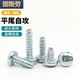 镀锌十字盘头平尾自攻螺丝元 头F型PB圆头螺钉2M2.5M3M3.5M4M5M5.5
