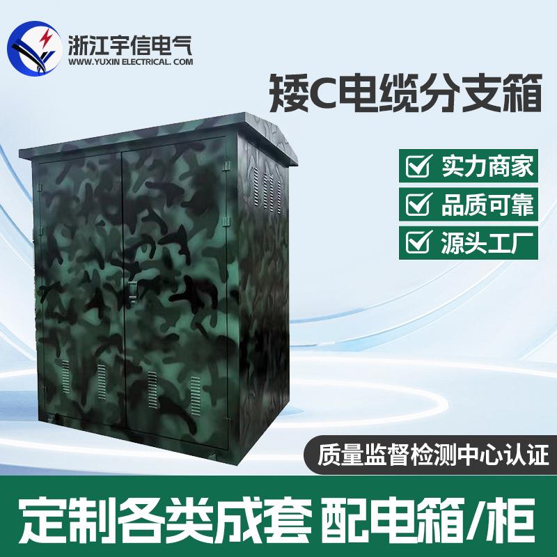10KV电缆分支箱DFW-12/630A高压电缆35KV分接箱铁壳/不锈钢多分支