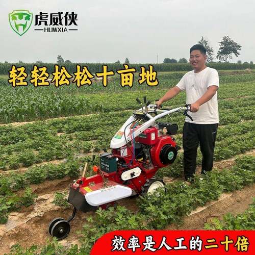 草莓柴油开沟小型大葱培土微耕机田园管理农用挖沟深沟神器果园