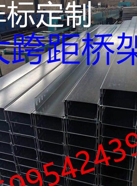 大跨距桥架 150*100 订做镀锌大跨距线槽 梯级式桥架 防火桥架