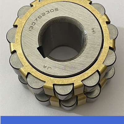 减速机整体偏心轴承150752202 180752202 200752202 250752202 K