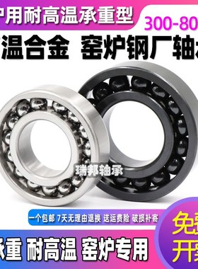 耐温轴承温轴承970310 970311 970312 973013 970314 达600度