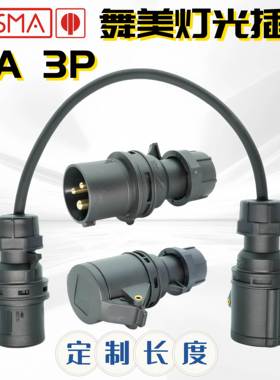 舞台美灯光行业黑色哑光插座连接器16A3芯2230V定制长度带线013-6