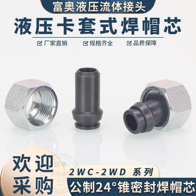 卡套式焊帽芯2WC/2WD轻型重型24度锥密封焊接H型内螺纹焊管活接