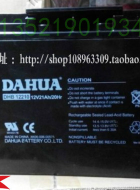 DAHUA 大华蓄电池 DHB12210 大华电池 12V21AH电池
