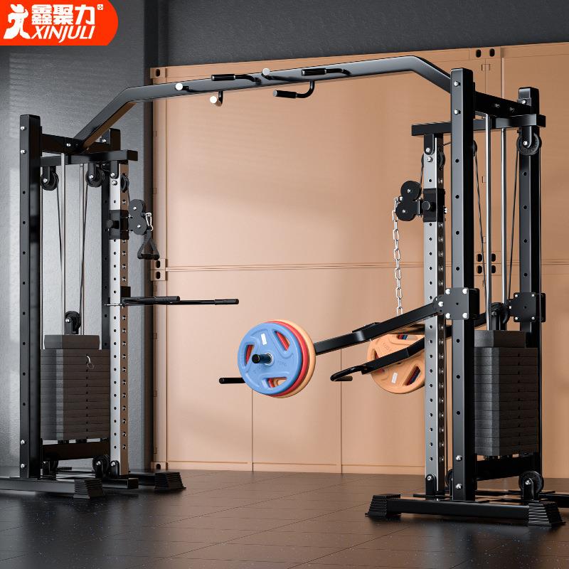 大飞鸟训练器龙门架健身家用一体机商用小飞鸟综合训练器械引体