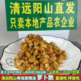 清远阳山香辣萝卜脆 萝卜丁 本地干土特产咸榨菜香菜下饭农家自晒
