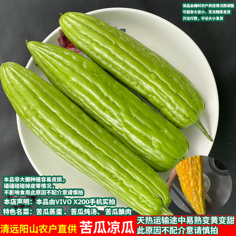 清远阳山苦瓜凉瓜农民自种广东新鲜绿癞瓜珍珠瓜蔬菜五塘品种苦瓜