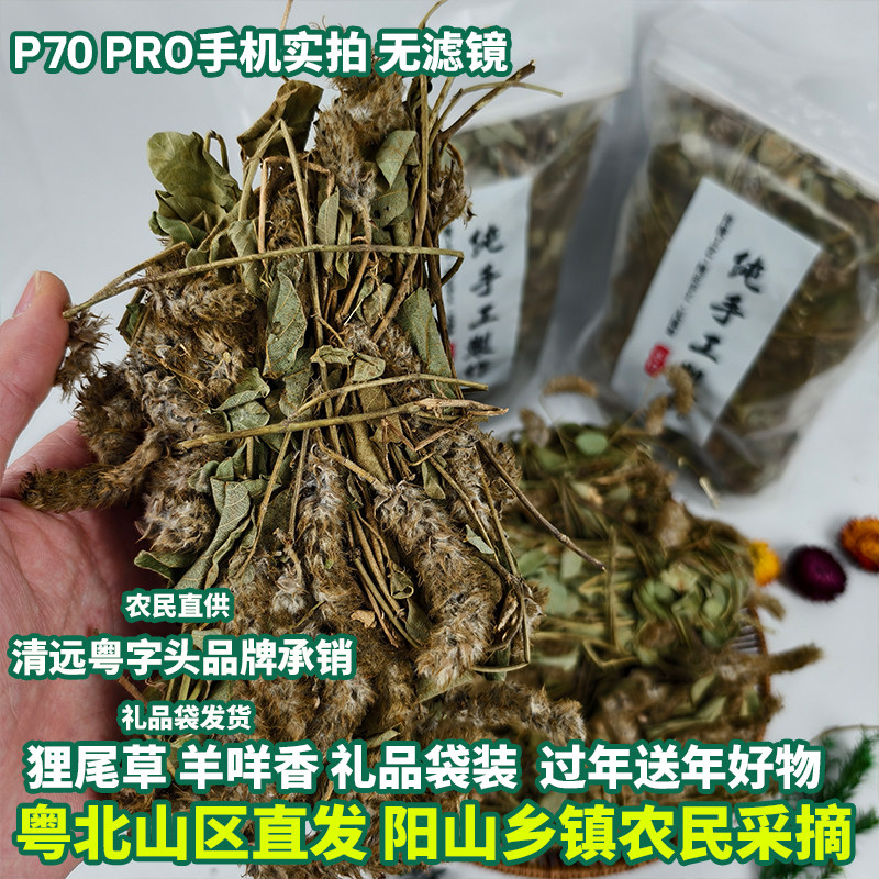 广东阳山狸尾草狐尾草羊咩香草药干货羊咩草新鲜野生自家晒干
