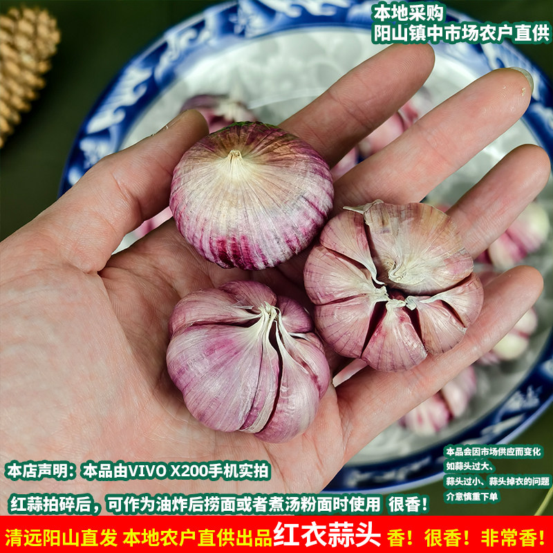 清远阳山紫蒜头粉红衣蒜头红色煮菜炒菜佐料可制作干货新鲜大整箱