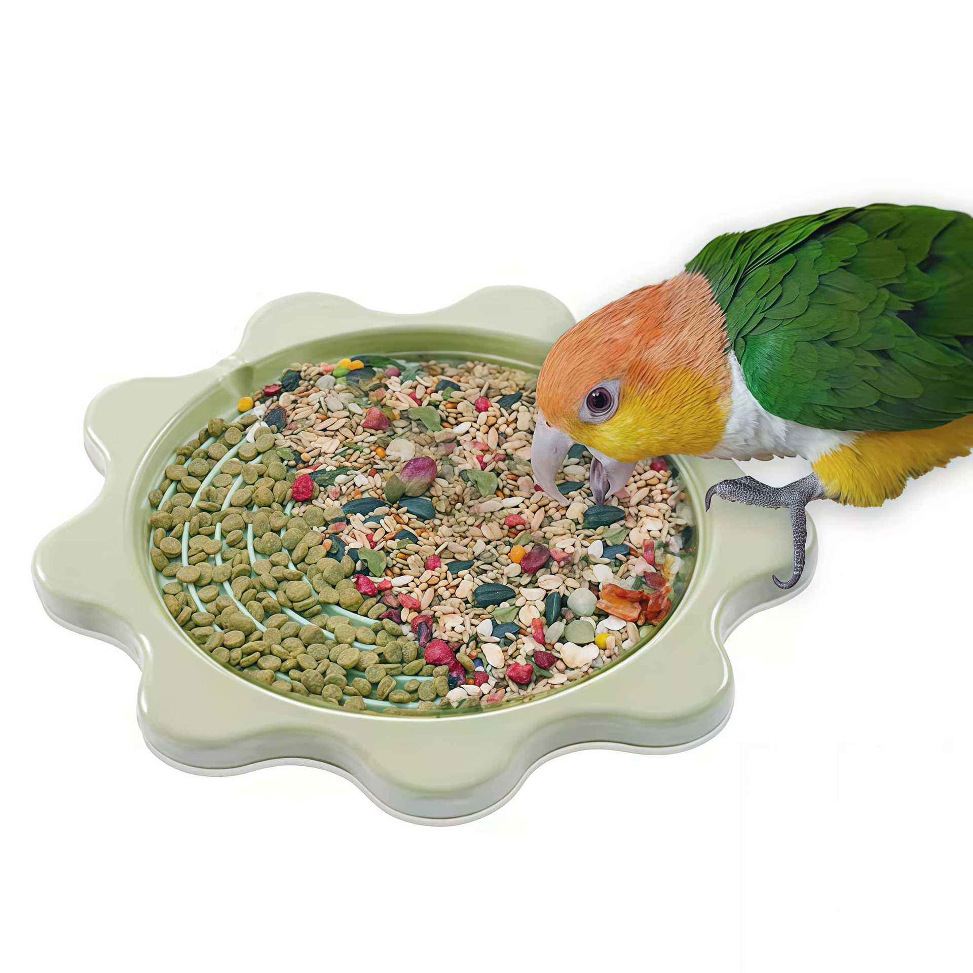 多功能进食喂食器花朵慢食盘虎皮图片