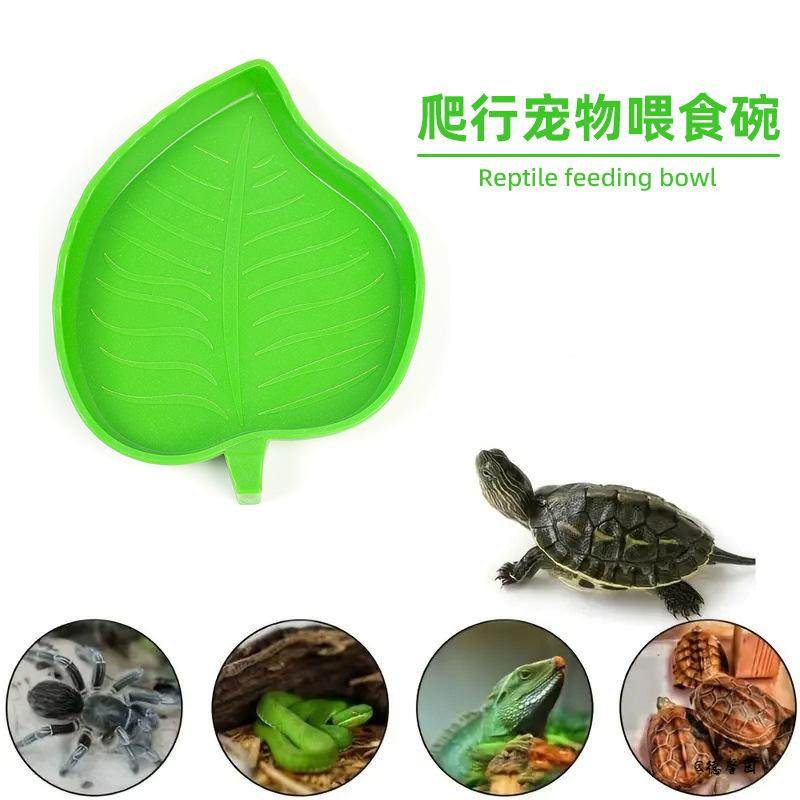 喝水干饭仿真鬃狮蜥蜴叶子形状喂食碗小型爬宠日用品宠物碗食盆,宠物/宠物食品及用品,爬宠清洁及日用品,淘宝优惠券,粉丝福利购,淘宝优惠卷