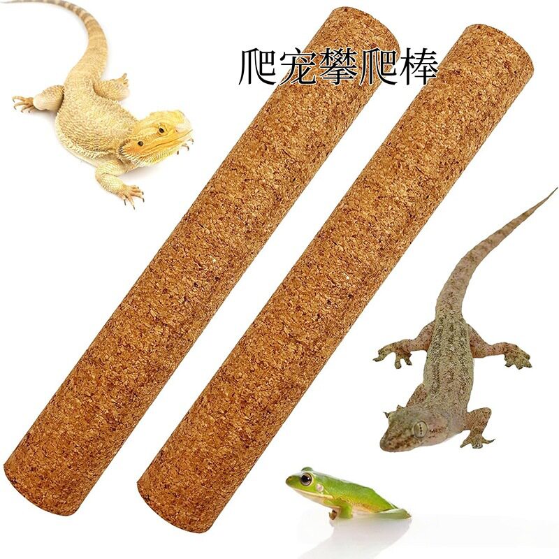 爬虫软木棒天然角宫爬宠树用品