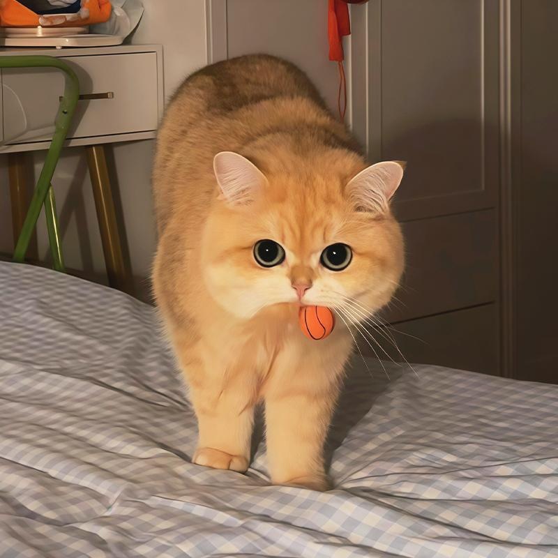 自嗨解闷神器猫咪玩具羽毛弹力球