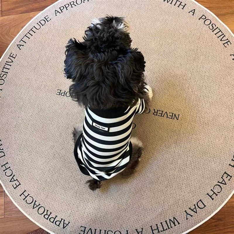 狗狗衣服夏季薄款泰迪比熊博美雪纳瑞小型犬宠物猫咪春夏装