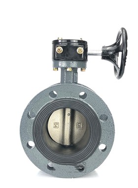 D341X-10/16C铸钢法兰涡轮蝶阀DN40-1200橡胶软密封中线碳钢阀门