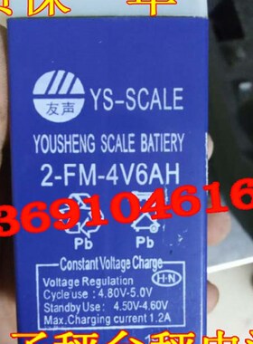 YOUSHENG友声蓄电池2-FM-4V6AH电子秤 吊秤 计价称 电子衡器电池