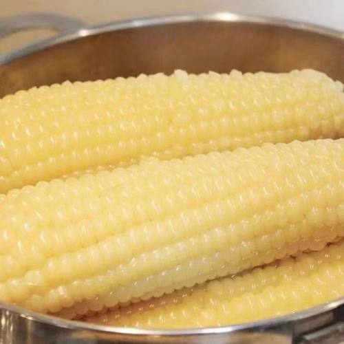 东北黑龙江白糯玉米5斤微甜香糯好吃代餐粗粮加热真空非黄糯黑糯