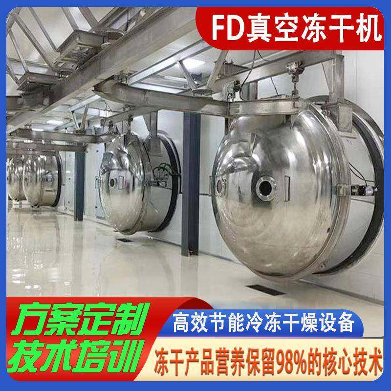 商用100平果蔬真空冻干机宠物食品冻干生产线方案解决冷冻干燥机