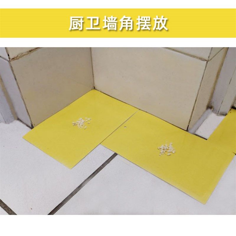 强力粘虫板诱捕杀衣鱼潮虫蠼螋蚰蜒蟑螂米虫药材菸草甲虫步甲皮蠹