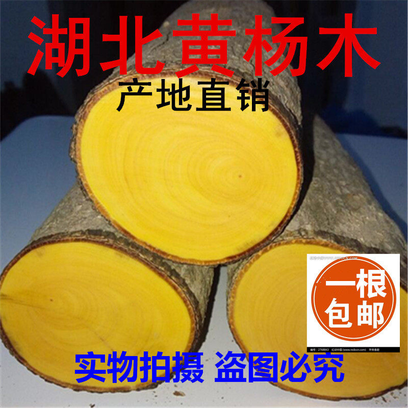 正宗湖北黄杨木料木雕刻练手料原木段小笔筒料印章镇尺文玩摆件