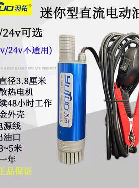 羽拓电动柴油抽油泵12V24伏加油机油抽子加油枪自吸泵潜水油泵
