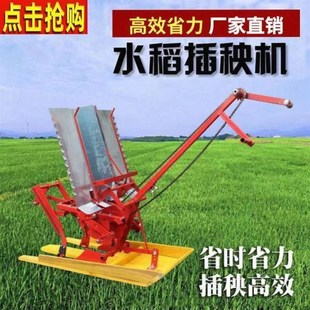 水稻两行插禾机小型插秧种植机农用耕种机械 厂价直销插秧机手摇式