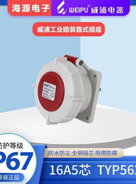 威浦WEIPU16A5芯防水工业暗装直式插座 TYP5624 380V 3P+N+E IP67