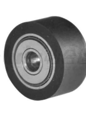 BBG01 11 02 12 21 22-d6 8 10 12 5经济型包胶滚子轴承随动器