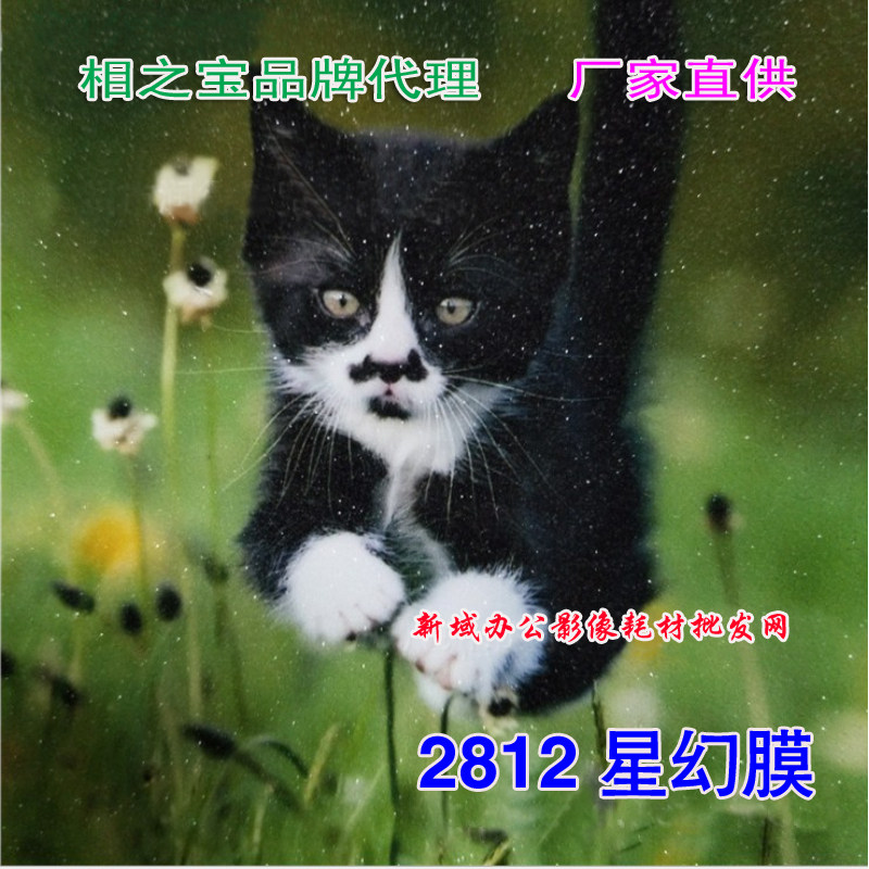 A3相之宝冷裱膜/照片膜/影楼用膜/光面/磨沙/皮纹/十字纹/星幻膜