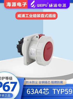 WEIPU威浦防水工业暗装直式插座TYP5919 63A5芯 380V+3P+E IP67