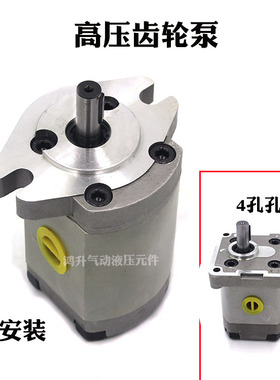 高压齿轮泵P101RP01GT 127 135 104 106 107 P109RP01 P105RP01GT