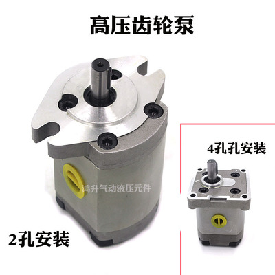 高压齿轮泵P101RP01GT 127 135 104 106 107 P109RP01 P105RP01GT