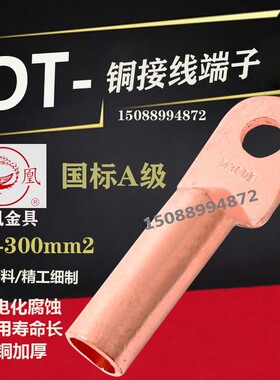 凤凰金具【 国标A级】 铜接头DT-300MM2 平方 铜鼻子 铜接线端子