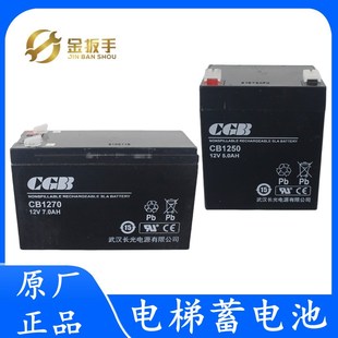 杭西奥电梯救援装置蓄电池松闸电源CGB武汉长光CB1250/1270/1240