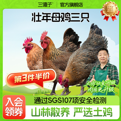 三德子好甄选【散养母鸡三只】家庭炖汤食材生鲜孕妇月子鸡汤