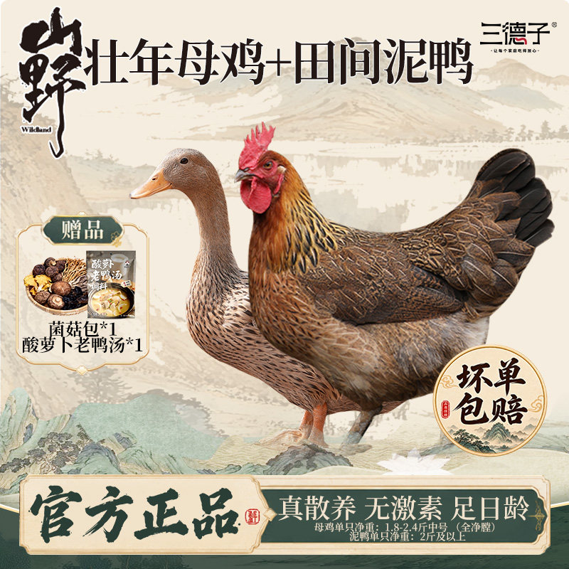母鸡350天以上，鸭子500天以上！图片